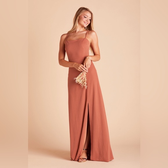 Birdy Grey Dresses & Skirts - Birdy Grey Benny Dress Crepe Terracotta Paprika Size Small NWT